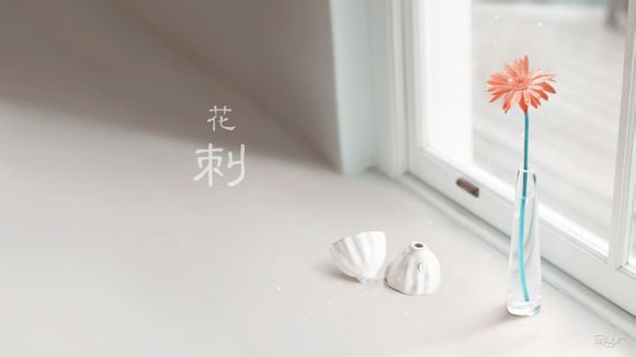 什么是aps画幅