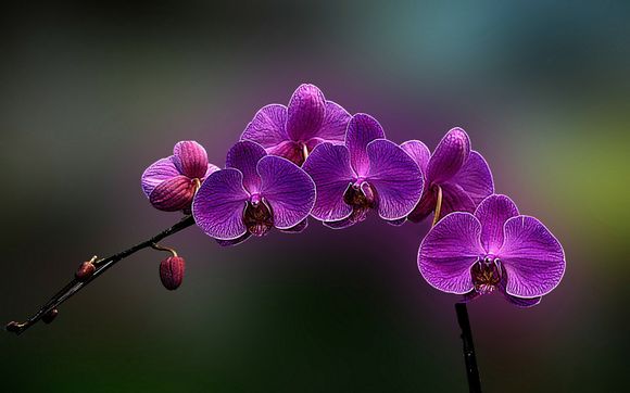 内存cpu哪个重要