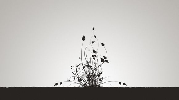 华为商城 怎么样