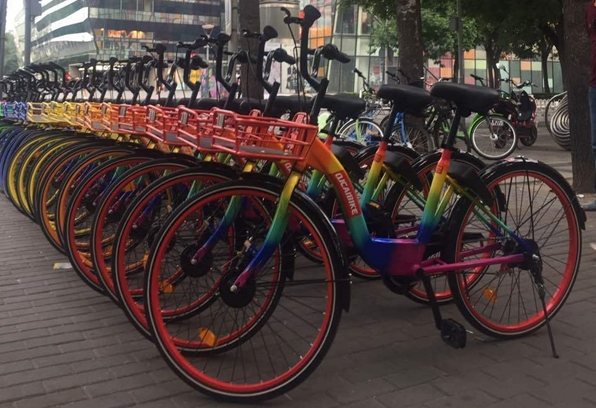 网传乘客在飞机上捡到鞭炮，真实情况如何？若属实责任方有哪些？